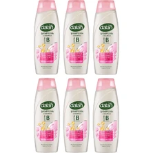Dalan Şampuan Güçlü ve Parlak 450 ml x 6 Adet